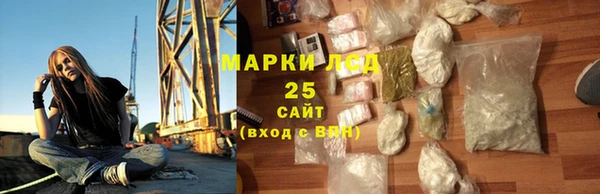 шишки Алзамай
