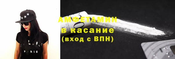 шишки Алзамай
