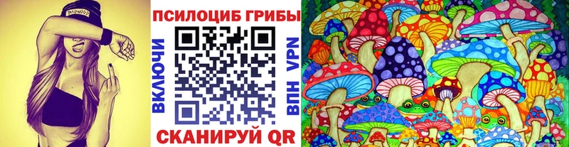Псилоцибиновые грибы Psilocybe Белебей