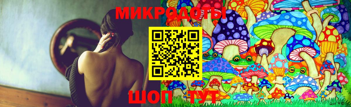 Галлюциногенные грибы Psilocybine cubensis Белебей