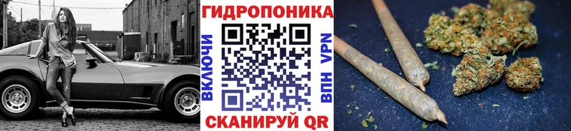 где купить наркоту  Белебей  Шишки марихуана ГИДРОПОН 